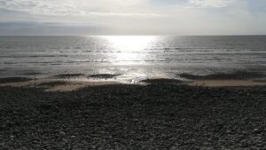 Read more about the article Borth Beach 2023